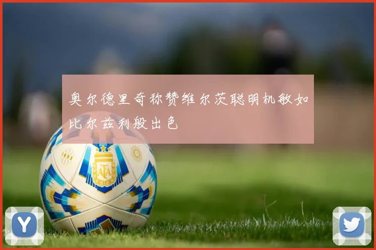 奥尔德里奇称赞维尔茨聪明机敏如比尔兹利般出色